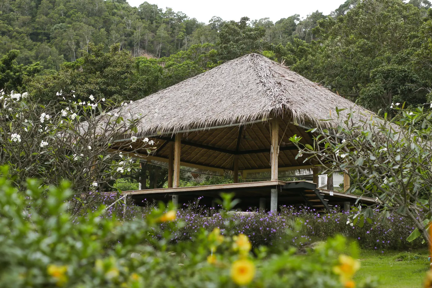 Wellness Facilities
