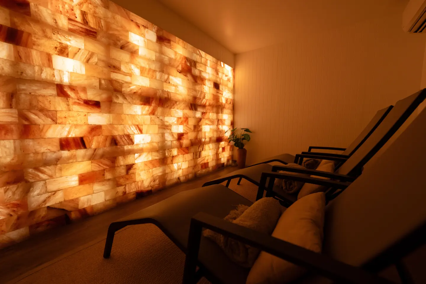Wellness Facilities